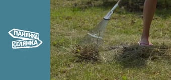 Панянка-селянка, Сезон 9, Випуск 5 Панянка-селянка, Сезон 9, Випуск 5