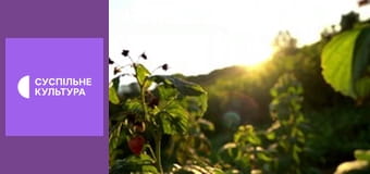 Гімн України.