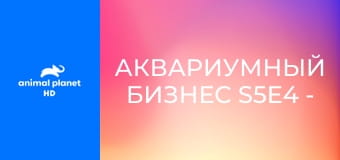 Аквариумный бизнес S5E4 - Аквариум для Габриэля Иглесиаса