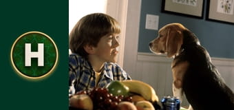 Коти проти собак: Помста Кітті Ґалор