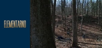 Элементарно Сезон 5 Эпизод 12