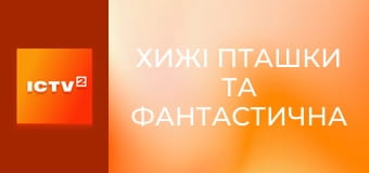 Х/ф "Хищные птицы: Потрясающая история Харли Квинн".