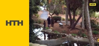 Т/с "Морская полиция: Спецотдел", 4 сезон, 16-18 с.