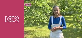 Удачний проект