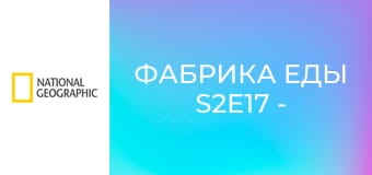 Фабрика еды S2E17 - Жвачка, хрен и капкейки