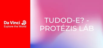 Tudod-e? - Protézis láb és Nyomkereső kutya Tudod-e? - Protézis láb és Nyomkereső kutya
