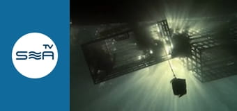 До дна - Гуадалупе