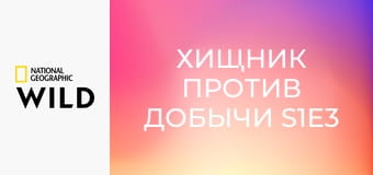 Хищник против добычи S1E3 - крокодил