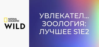 Увлекательная зоология: лучшее S1E2 - Свиньи и собаки