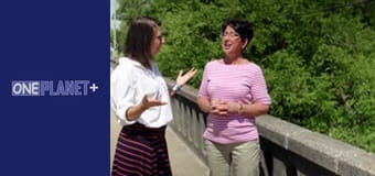 В ритме танца вокруг света. Сезон 1 – серия 5 В ритме танца вокруг света. Сезон 1 – серия 5