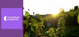 Гімн України. Гімн України.