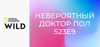 Невероятный доктор Пол S23E9