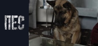 Dog, Season 1, Episode 11