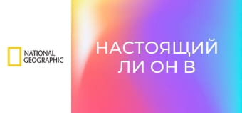 Настоящий ли он в упаковке S3E2 - Бермудский треугольник