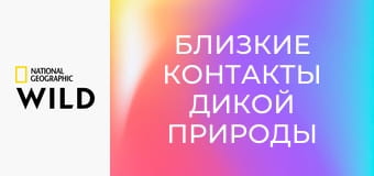 Близкие контакты дикой природы S1E5