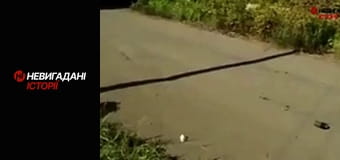 Невигадані історії. Війна. Початок.