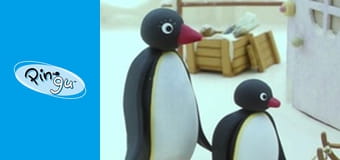 Pingu Сезон 3 Епізод 15 Pingu Сезон 3 Епізод 15