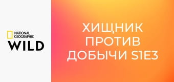 Хищник против добычи S1E3 - крокодил
