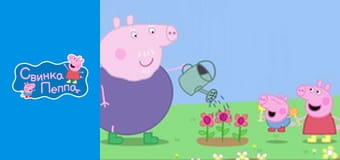 Frogs, worms and butterflies