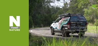 Австралийские змееловы - Стю против Голиафа