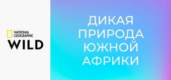 Дикая природа Южной Африки S1E2 - Земля гигантов