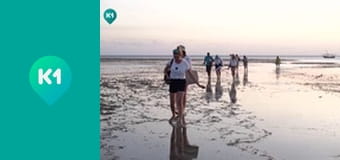 "Пригоди з Яною Метьолкіною".