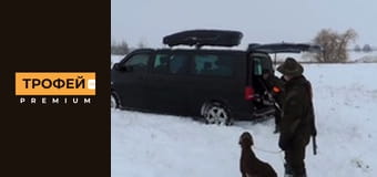 Шлях до Трофею. Серiя 14