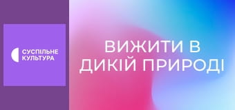 Д/с "Вижити в дикій природі", 5 с. Д/с "Вижити в дикій природі", 5 с.