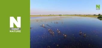 Бескрайняя Африка - Пустыня Намиб