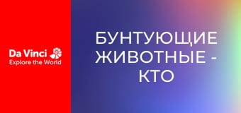 Бунтующие животные - Кто живёт в этой пещере?