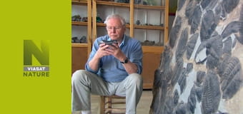 Глобальні пригоди Аттенборо S1E3 - Розквіт природи