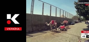 Двоколісні хроніки.