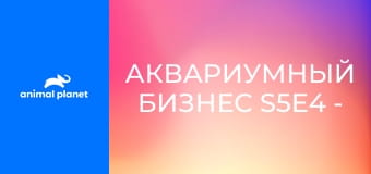 Аквариумный бизнес S5E4 - Аквариум для Габриэля Иглесиаса