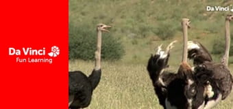 Сияя - Отправьтесь с нами - В Край жажды