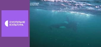 Д/с "Спецпризначенці тваринного світу". "Морська піхота".