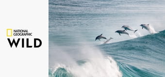 Необыкновенная Австралия S1E2 - Дикие берега