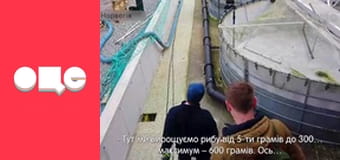 Заробітчани, 2 сезон, 26 еп.