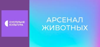 Д/с "Арсенал животных". "Мастера маскировки".