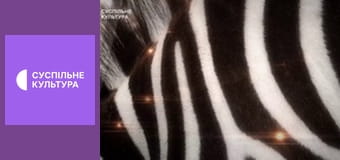 Д/с "Арсенал тварин". "Майстри камуфляжу".