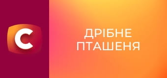 Х/ф "Дрібне пташеня", 1-4 с.