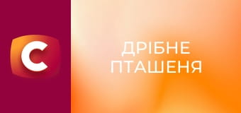 Х/ф "Дрібне пташеня", 1-4 с.