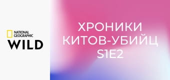 Хроники китов-убийц S1E2