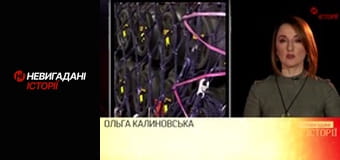 Невигадані історії.