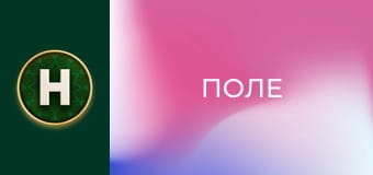 Поле Поле