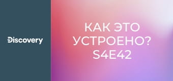 Как это устроено? S4E42 - Клюшки для лакросса/ Мороженая рыба/Фонарики/Кисти