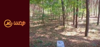 Season 7, Episode 7, Part 8