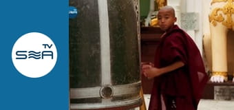 Pedro Around the World - Myanmar