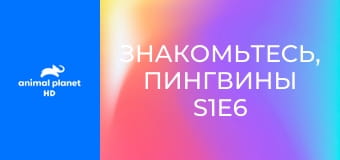 Знакомьтесь, пингвины S1E6