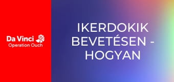 Ikerdokik bevetésen - Hogyan tovább? Ikerdokik bevetésen - Hogyan tovább?