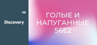 Голые и напуганные S6E2 - Близкие контакты